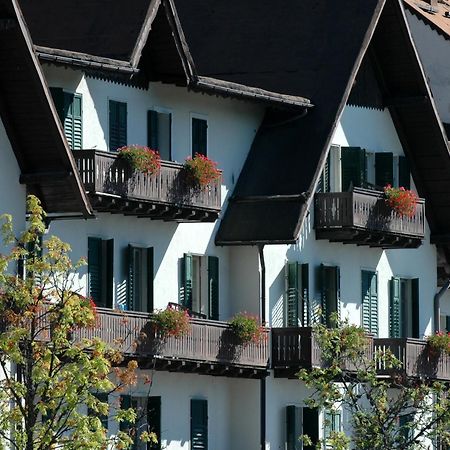 Th San Martino - Majestic Dolomiti Hotel 圣马蒂诺-迪卡斯特罗扎 外观 照片