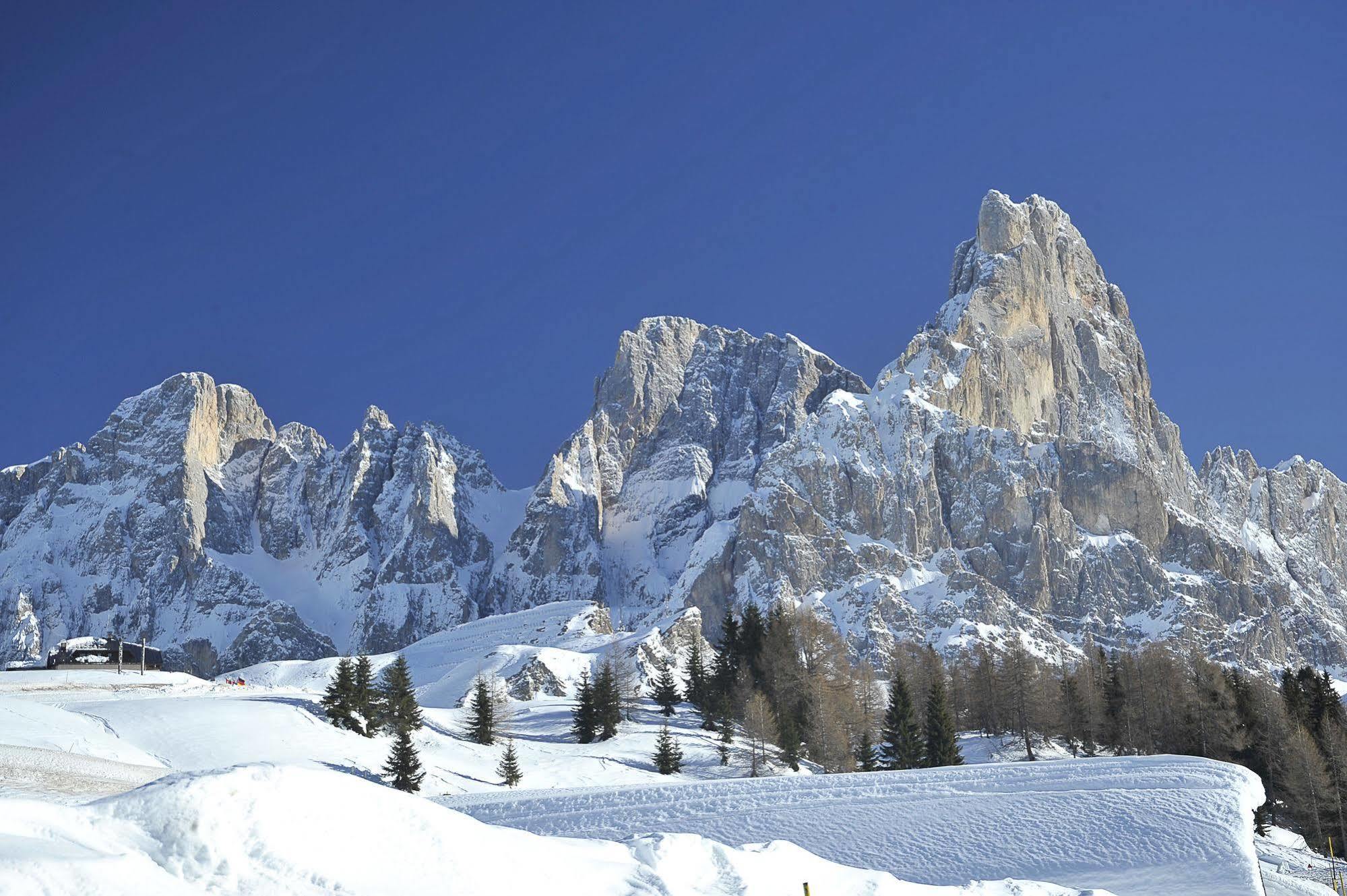 Th San Martino - Majestic Dolomiti Hotel 圣马蒂诺-迪卡斯特罗扎 外观 照片
